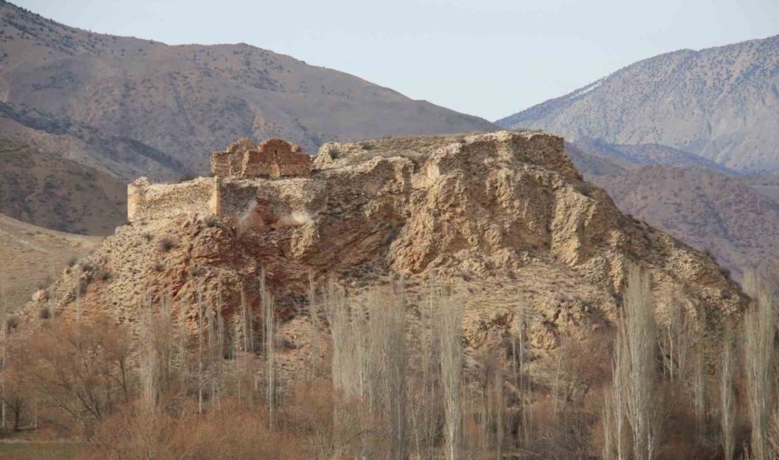 Erzurum’un Oltu ilçesinde bulunan Kız ve Oğlan Kalesi, defineciler tarafından