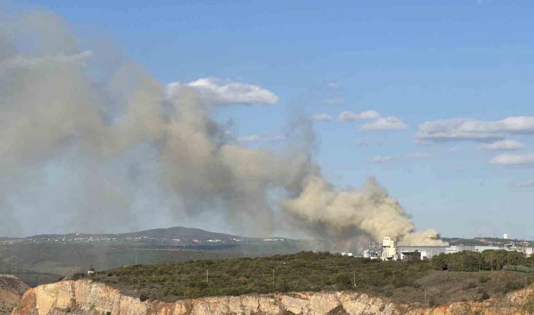 Kocaeli’nin Gebze ilçesinde bir fabrikanın bahçesinde çıkan yangın kontrol altına