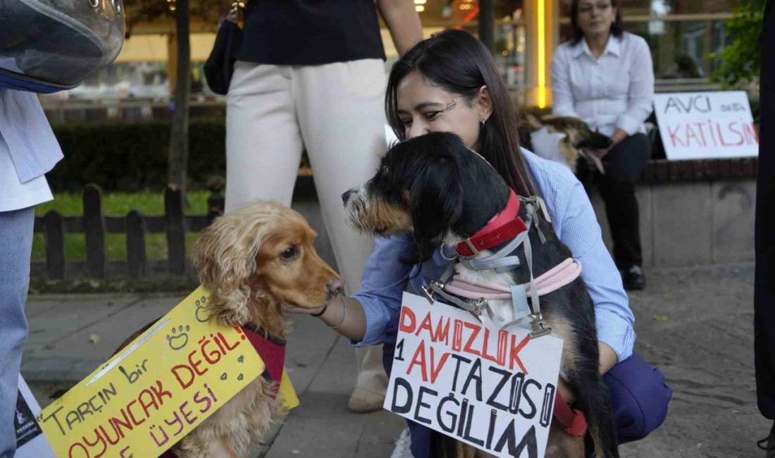 Gümüşhane’de 4 Ekim Hayvanları Koruma Günü dolayısıyla onlarca hayvansever, hem