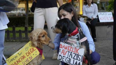 Gümüşhane’de 4 Ekim Hayvanları Koruma Günü dolayısıyla onlarca hayvansever, hem