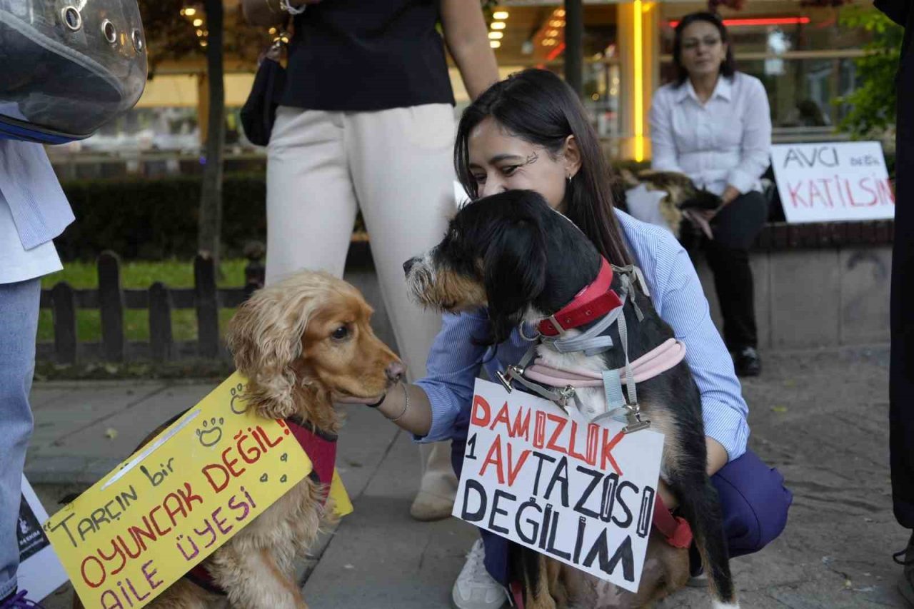 Gümüşhane’de 4 Ekim Hayvanları Koruma Günü dolayısıyla onlarca hayvansever, hem