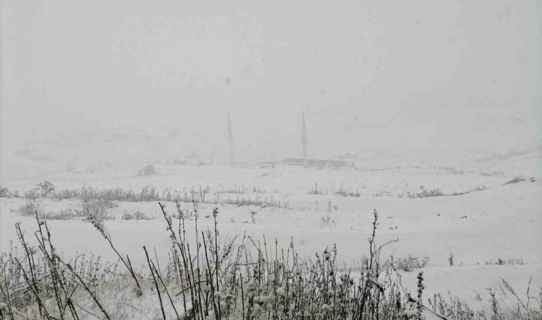 Gümüşhane’nin yüksek kesimlerinde kar yağışı etkili oldu. Yaylalar beyaza büründü.
