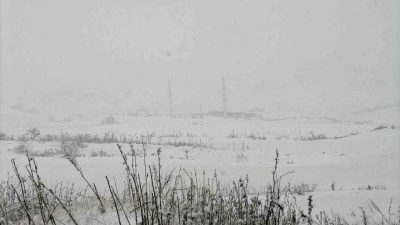 Gümüşhane’nin yüksek kesimlerinde kar yağışı etkili oldu. Yaylalar beyaza büründü.