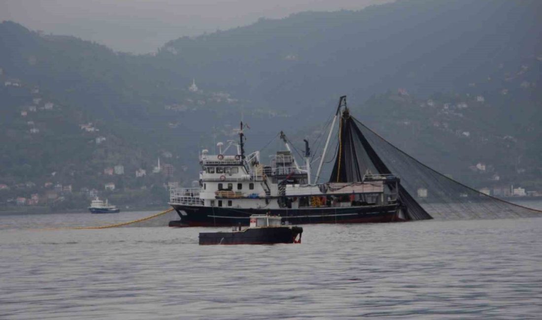 Karadeniz’de hamsi stokları alarm veriyor. Hem bölge balıkçılığı hem de