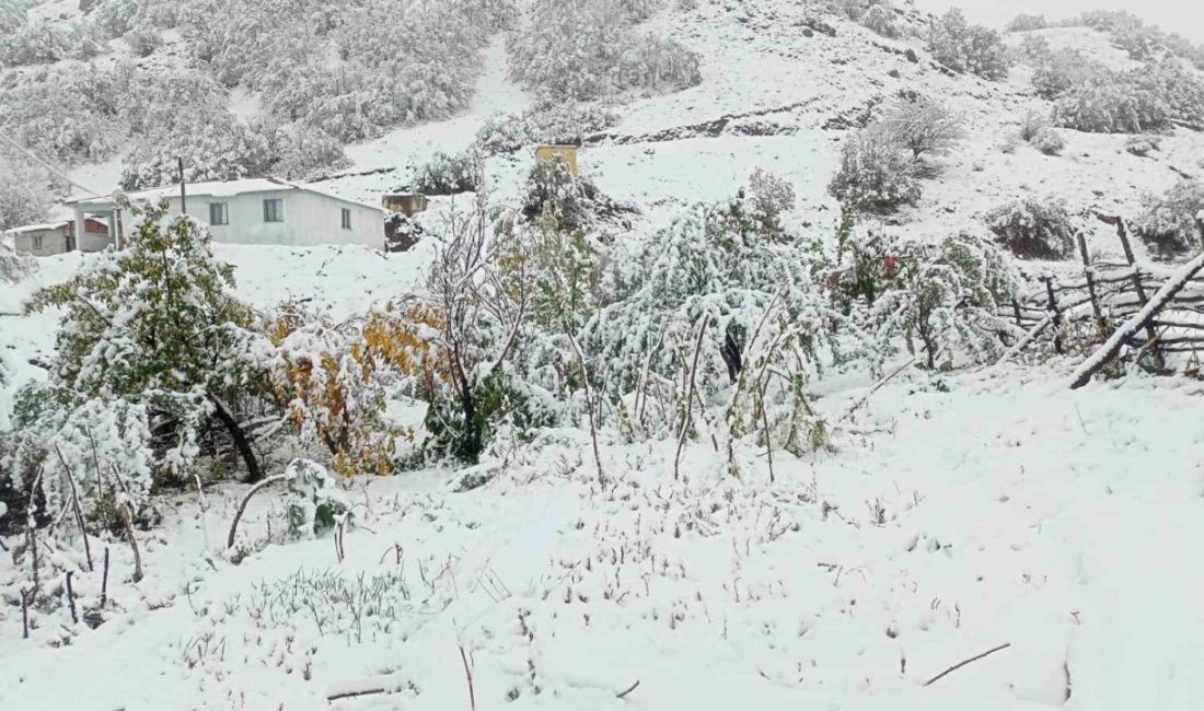 Erzincan’ın Tercan ilçesine bağlı yüksek kesimler yağan karla birlikte beyaz