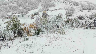 Erzincan’ın Tercan ilçesine bağlı yüksek kesimler yağan karla birlikte beyaz