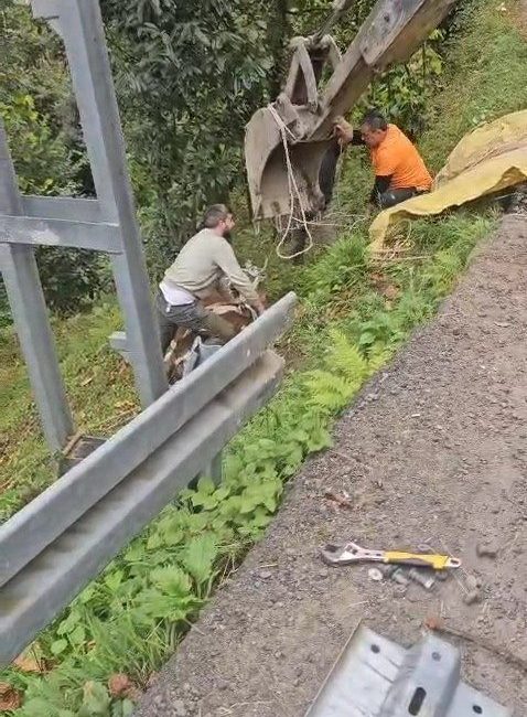 Rize’nin Çamlıhemşin ilçesinde yoldan aşağıya yuvarlanan inek bulunduğu yerden vinçle