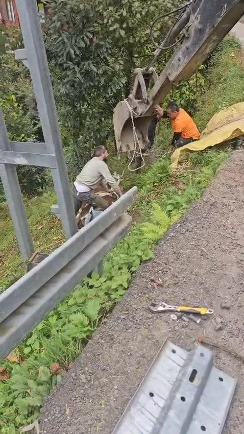 Rize’nin Çamlıhemşin ilçesinde yoldan aşağıya yuvarlanan inek bulunduğu yerden vinçle