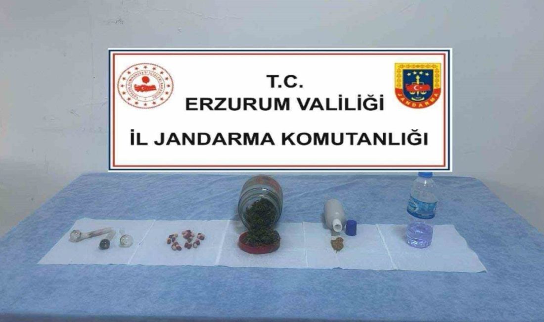 Erzurum İl Jandarma Komutanlığınca gerçekleştirilen uyuşturucu operasyonunda bir kişi tutuklanarak