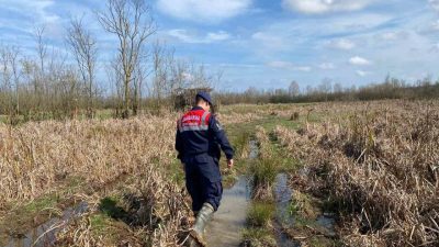 Sakarya’da Acarlar Longoz’u bölgesinde avcıların gizlenmek gayesiyle kullandığı güme diye