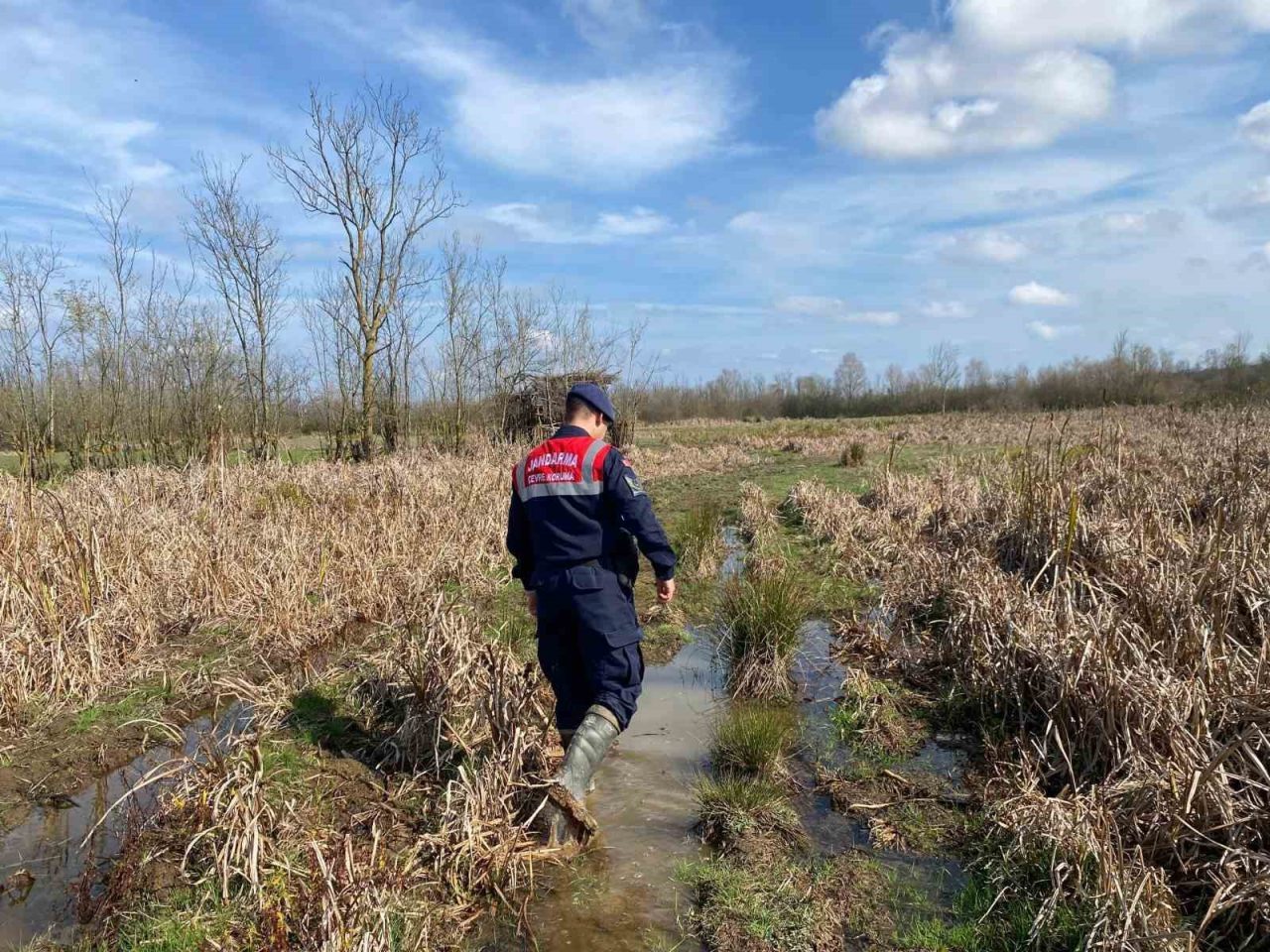 Sakarya’da Acarlar Longoz’u bölgesinde avcıların gizlenmek gayesiyle kullandığı güme diye