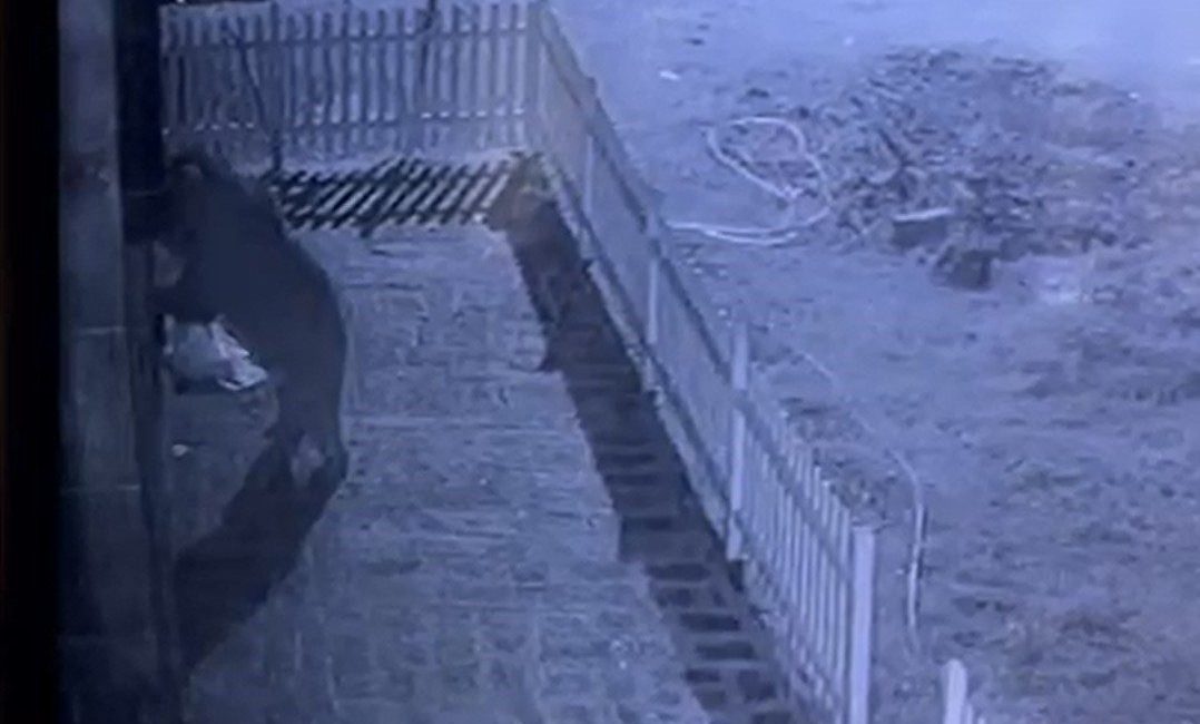 Rize’de kapısının sürekli zorlandığını fark eden vatandaş, evinin cephesine kapıyı