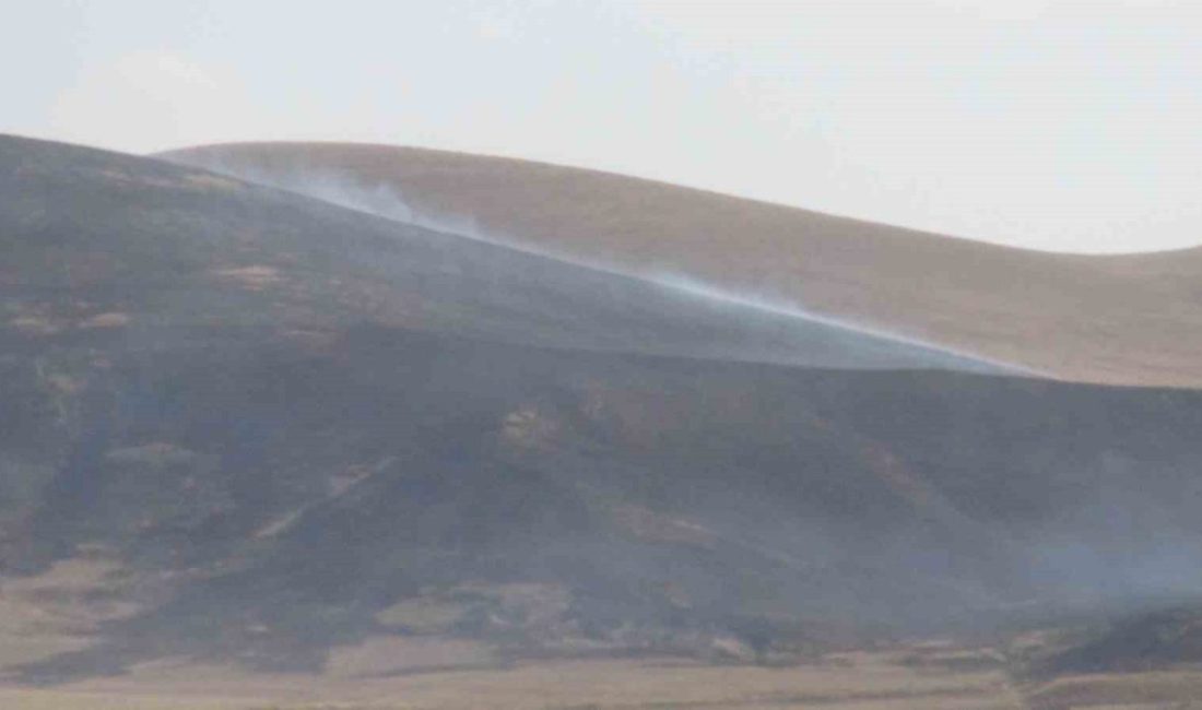 Kars’ta bilinmeyen bir nedenden dolayı çıkan anız yangının da Akbaba
