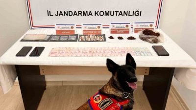 Kastamonu’nun Tosya ilçesinde jandarma ekiplerince düzenlenen operasyonda uyuşturucu maddeyle yakalanan