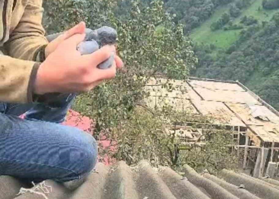 Rize’nin Ardeşen ilçesine bağlı Duygulu köyünde yoldan geçerken bir evin