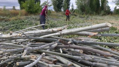 Erzincan’da havaların soğumasıyla birlikte kışlık yakacak ihtiyaçlarını gidermeye çalışan vatandaşlar,
