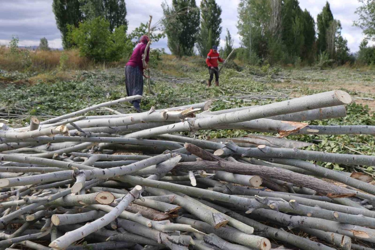 Erzincan’da havaların soğumasıyla birlikte kışlık yakacak ihtiyaçlarını gidermeye çalışan vatandaşlar,