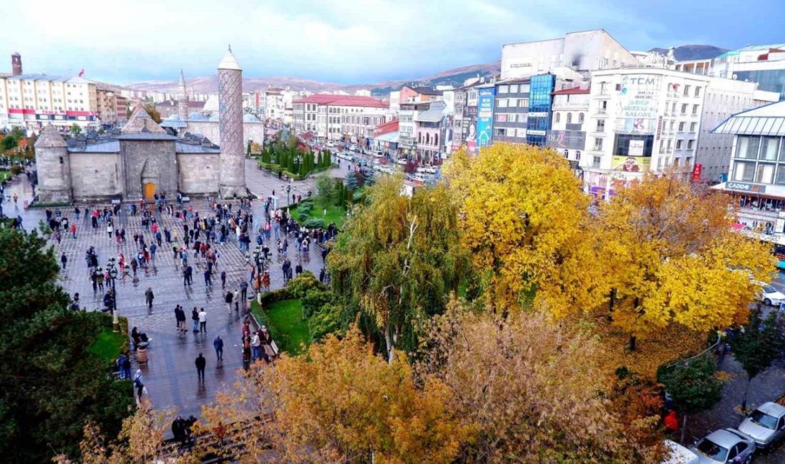 2025 Yılı Teknik Destek Programı 4. dönem başvuruları değerlendirme süreci