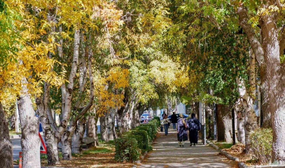 Erzurum Meteoroloji Bölge Müdürlüğü, bölge için kuvvetli rüzgar ve yüksek