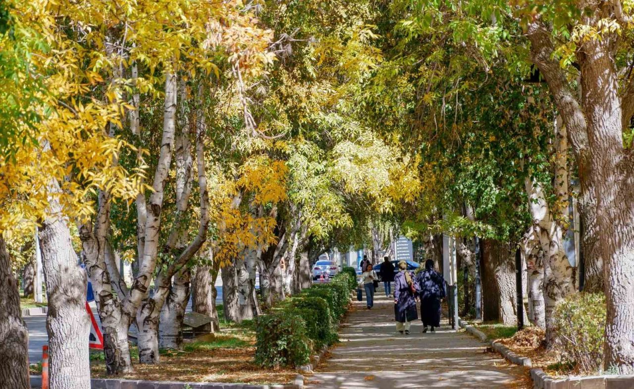 Erzurum Meteoroloji Bölge Müdürlüğü, bölge için kuvvetli rüzgar ve yüksek