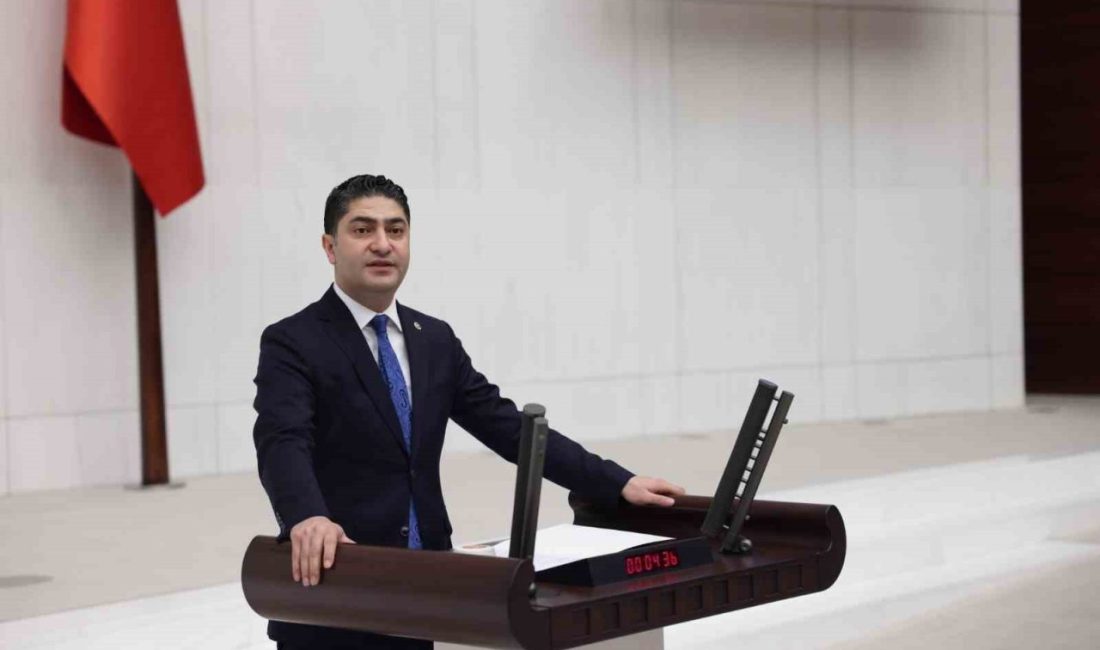 Milliyetçi Hareket Partisi (MHP) grubu adına uluslararası anlaşmalarla ilgili Türkiye