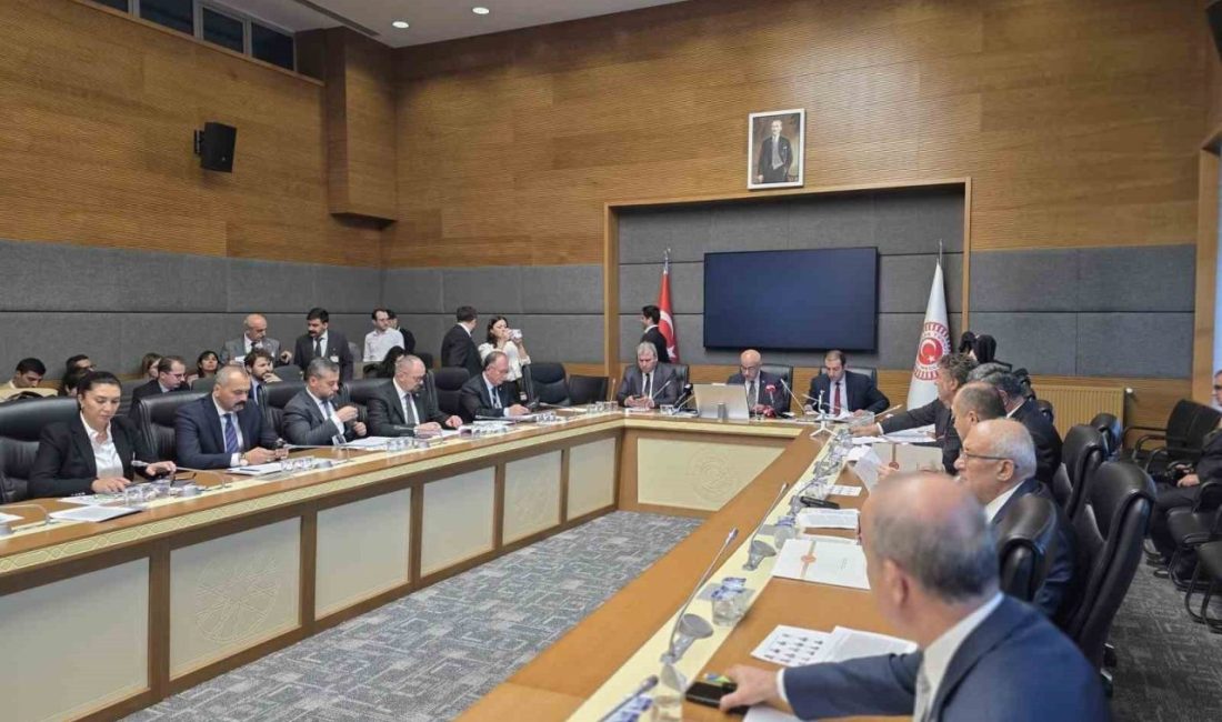 Tarım, Orman ve Köyişleri Komisyonu, Milli Parklar Kanunu ve Bazı