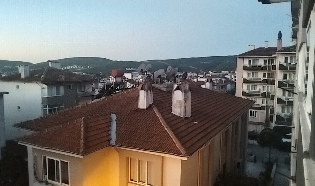 Muğla’nın Ula ilçesine bağlı Yaylasöğüt Mahallesi’nde, 12 Ekim 2025 Pazar