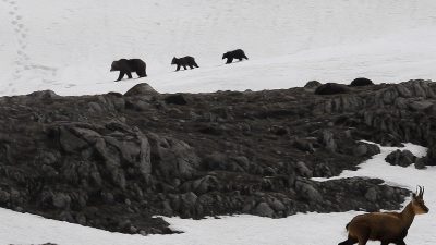 Erzincan ile Tunceli arasında yer alan 3 bin 300 rakımlı