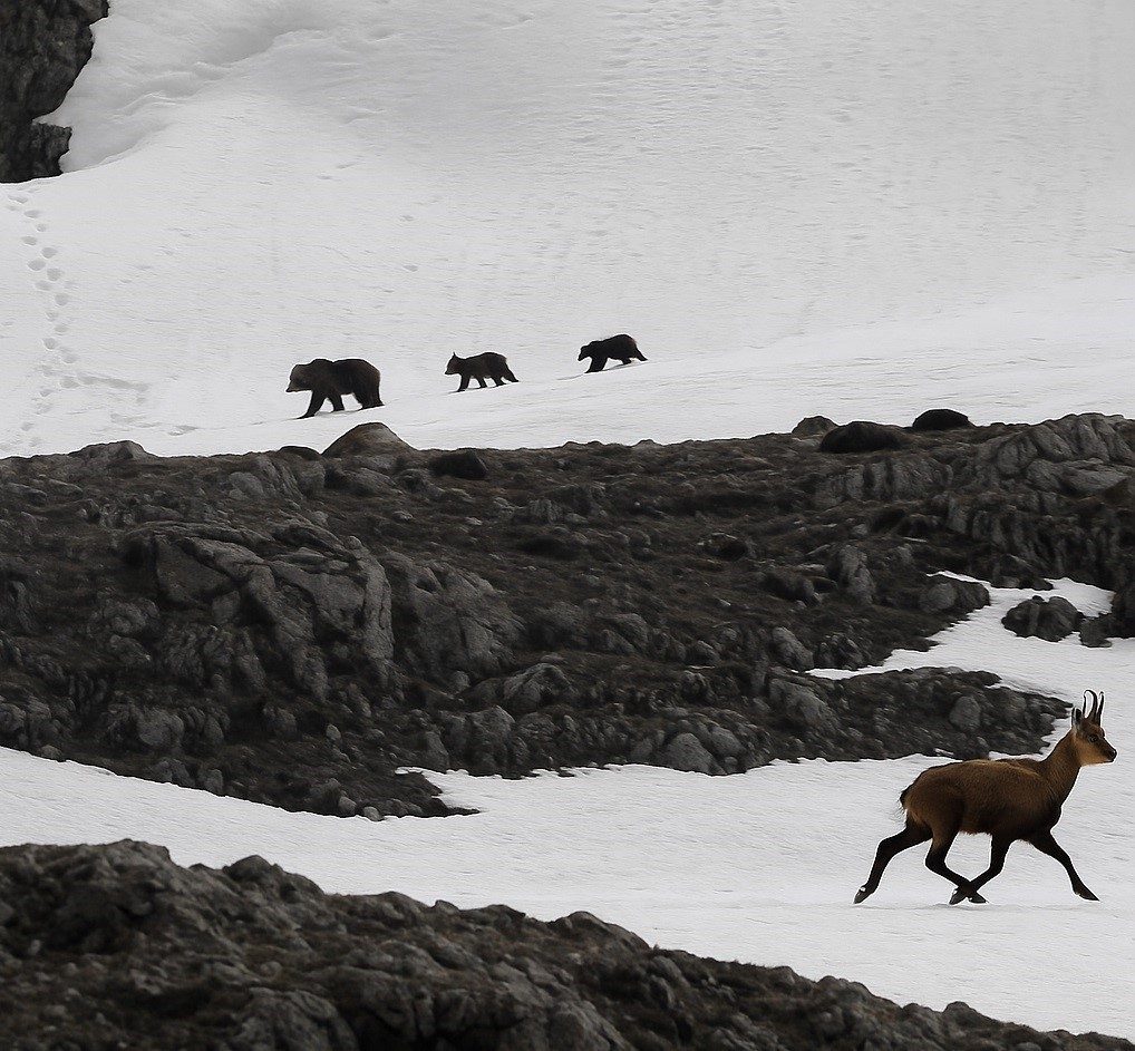 Erzincan ile Tunceli arasında yer alan 3 bin 300 rakımlı