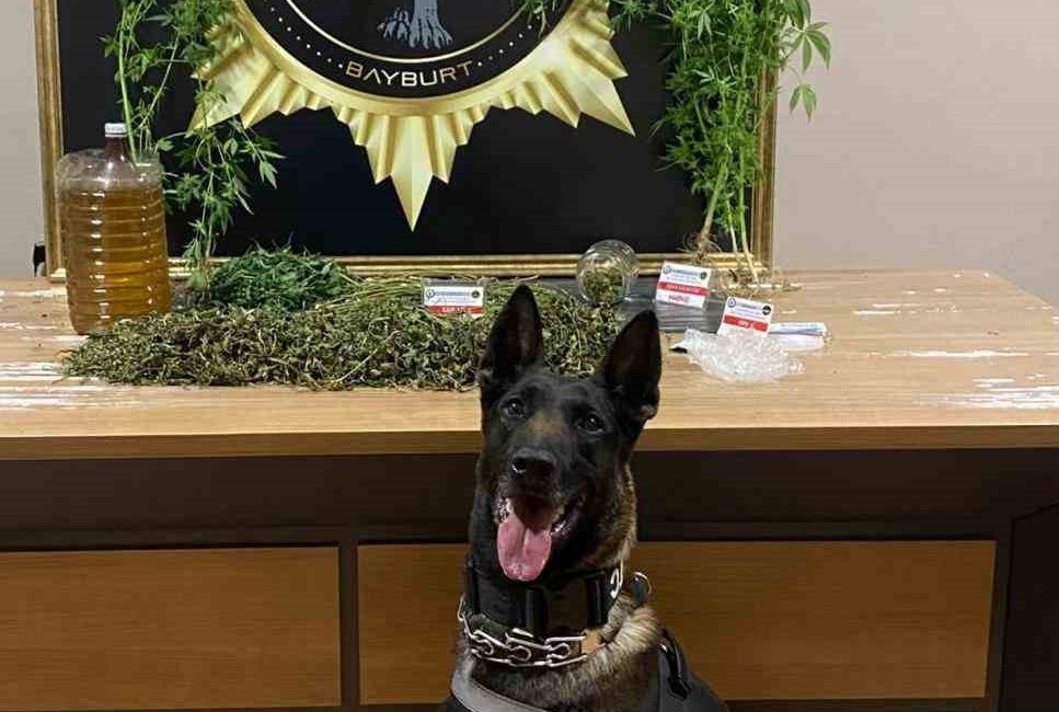 Bayburt’ta narkotik ekipleri, narkotik arama köpeği Pablo ile birlikte gerçekleştirdikleri