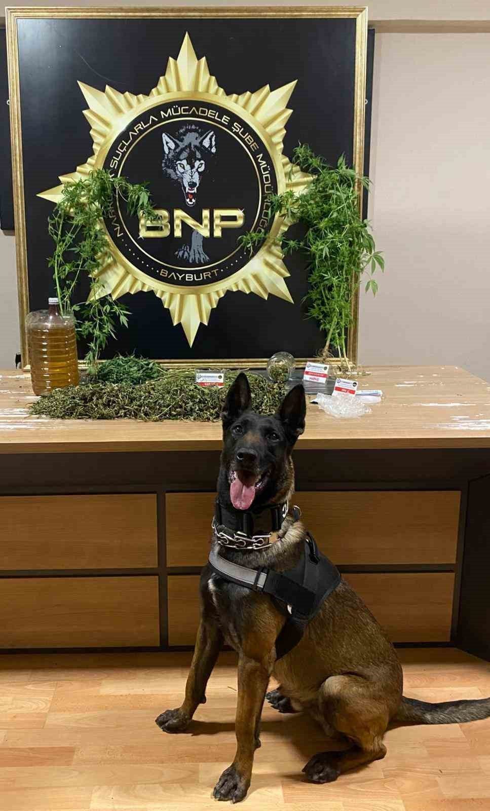 Bayburt’ta narkotik ekipleri, narkotik arama köpeği Pablo ile birlikte gerçekleştirdikleri