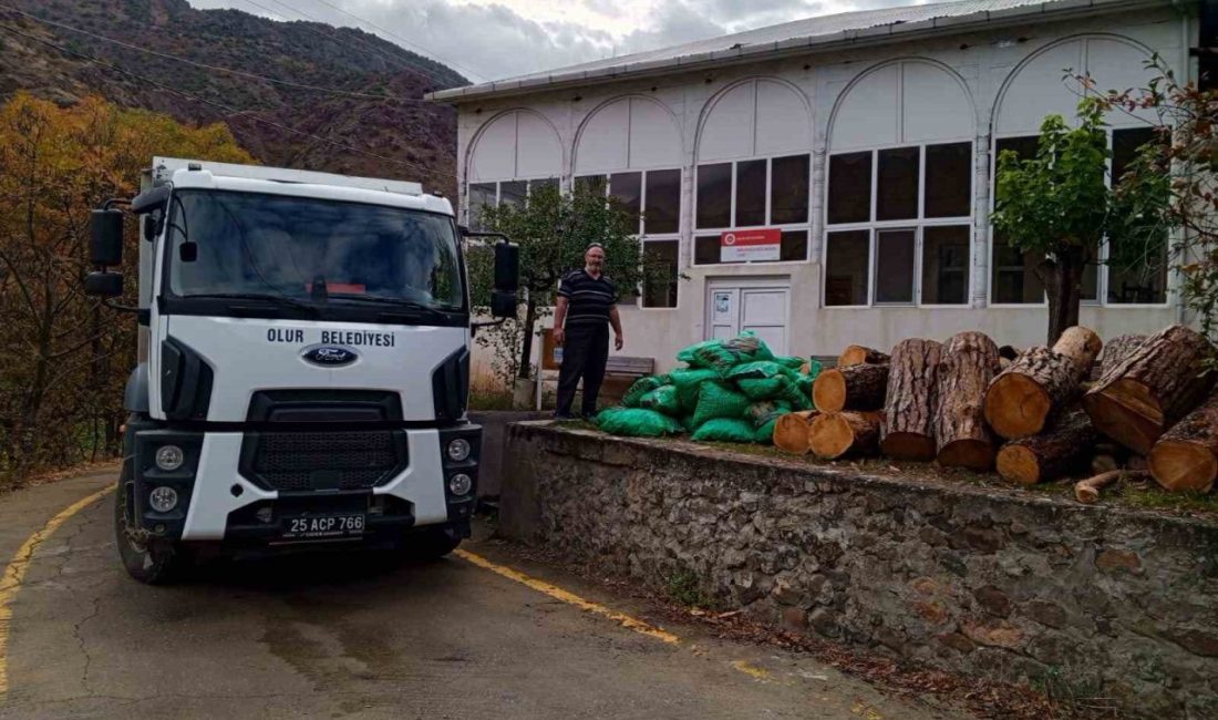 Erzurum’un Olur ilçesinde, camilerin kışlık yakacak ihtiyacı bu yıl da