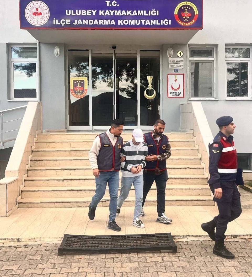 Ordu’da bir evden fındık çalan ve jandarma ekipleri tarafından yakalanan