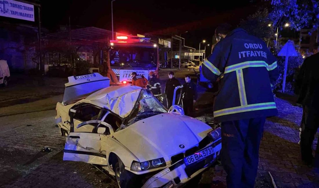 Ordu’nun Ünye ilçesinde kontrolden çıkarak ağaca ve park halindeki kamyona