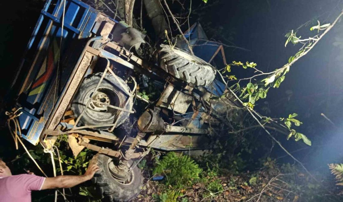 Ordu’nun Ünye ilçesinde fındık odunu çekerken kontrolünü kaybettiği ’patpat’ olarak