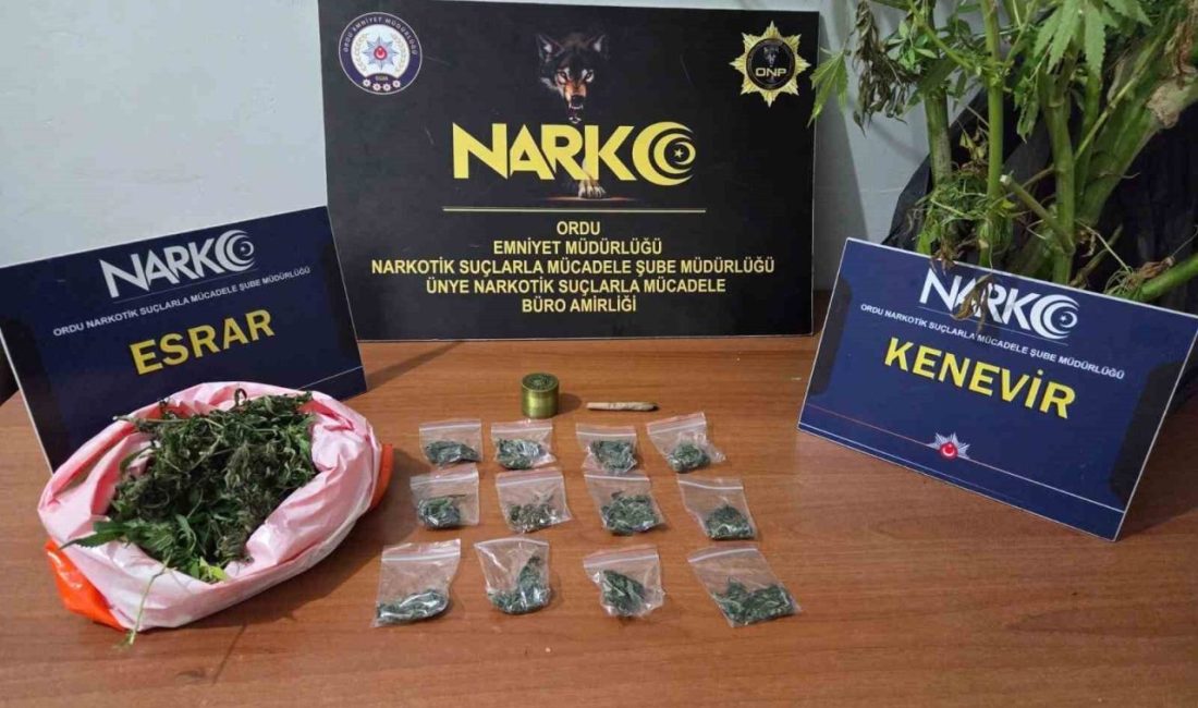 Ordu’da polis ekipleri tarafından düzenlenen uyuşturucu operasyonlarında 2 şüpheli tutuklandı.