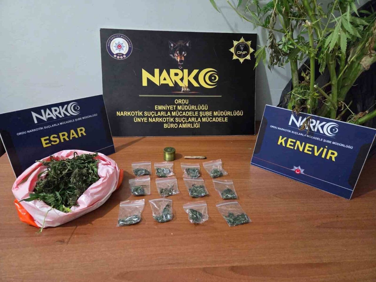 Ordu’da polis ekipleri tarafından düzenlenen uyuşturucu operasyonlarında 2 şüpheli tutuklandı.