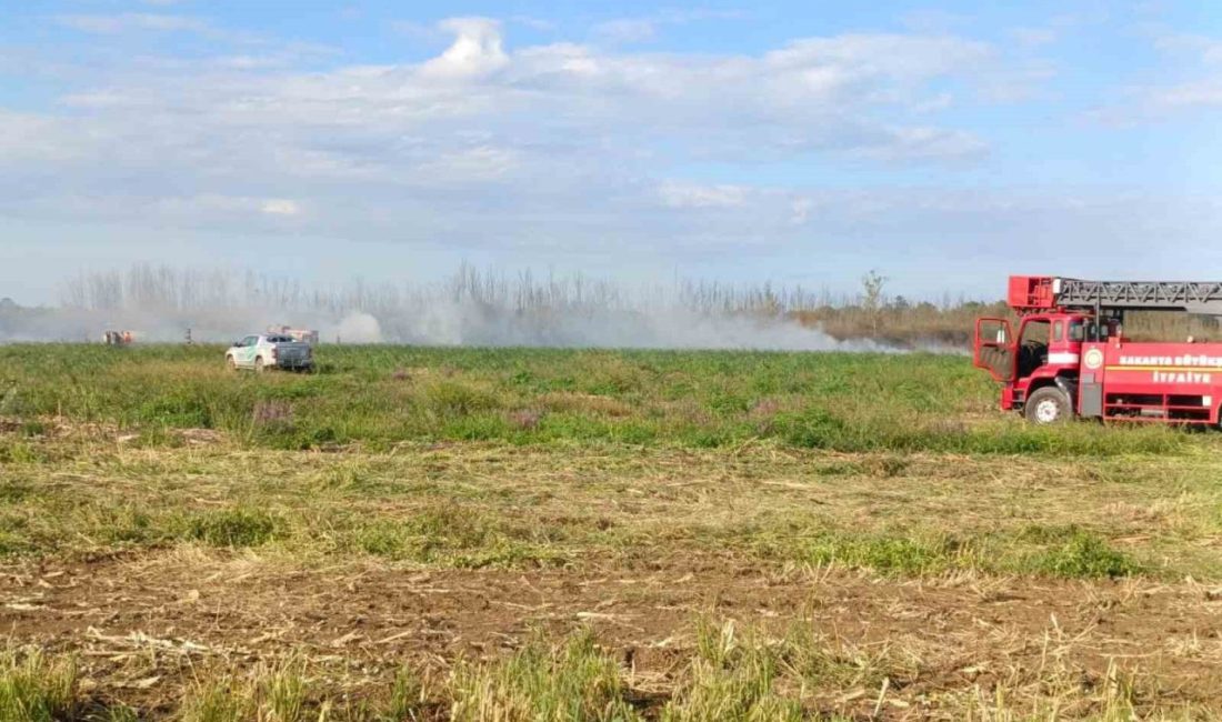 Sakarya’nın Kaynarca ilçesinde otluk alanda çıkan yangın, itfaiye ekiplerin müdahalesiyle