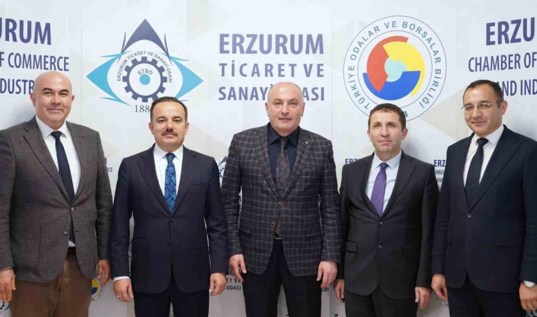 Sanayi ve Teknoloji Bakanlığı Stratejik Araştırmalar ve Verimlilik Genel Müdürü