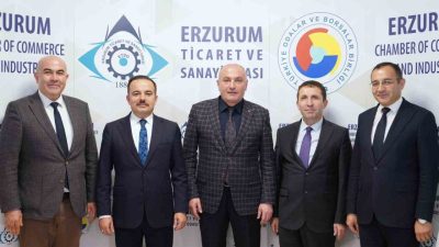 Sanayi ve Teknoloji Bakanlığı Stratejik Araştırmalar ve Verimlilik Genel Müdürü