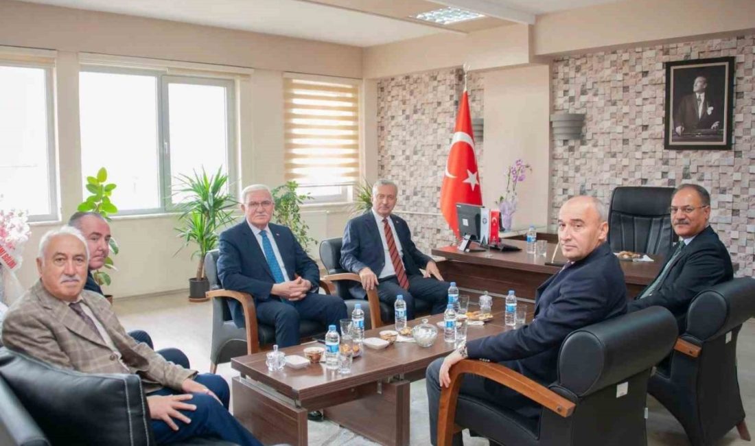 Erzincan Binali Yıldırım Üniversitesi Rektörü Prof. Dr. Akın Levent, İktisadi