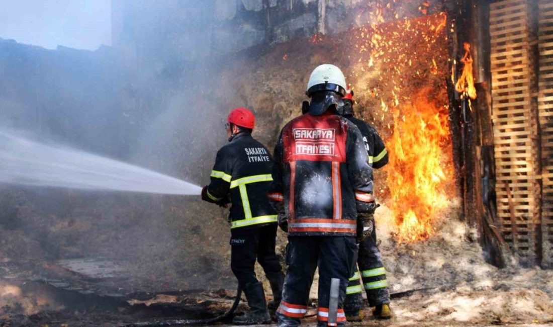 Sakarya’nın Akyazı ilçesinde ahşap sap ve kürek imalatı yapılan atölyede
