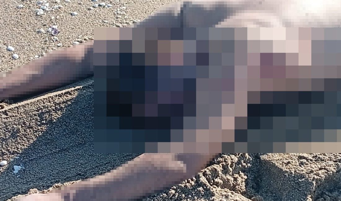 Sakarya’nın Karasu ilçesinde sahilde çıplak erkek cesedi bulundu. Denizköy Mahallesi’nde