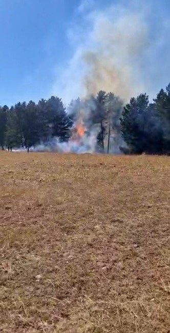Sarıkamış ormanlarında çıkan örtü yangını ekiplerin müdahalesiyle büyümeden söndürüldü. Kars’ın
