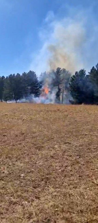 Sarıkamış ormanlarında çıkan örtü yangını ekiplerin müdahalesiyle büyümeden söndürüldü. Kars’ın