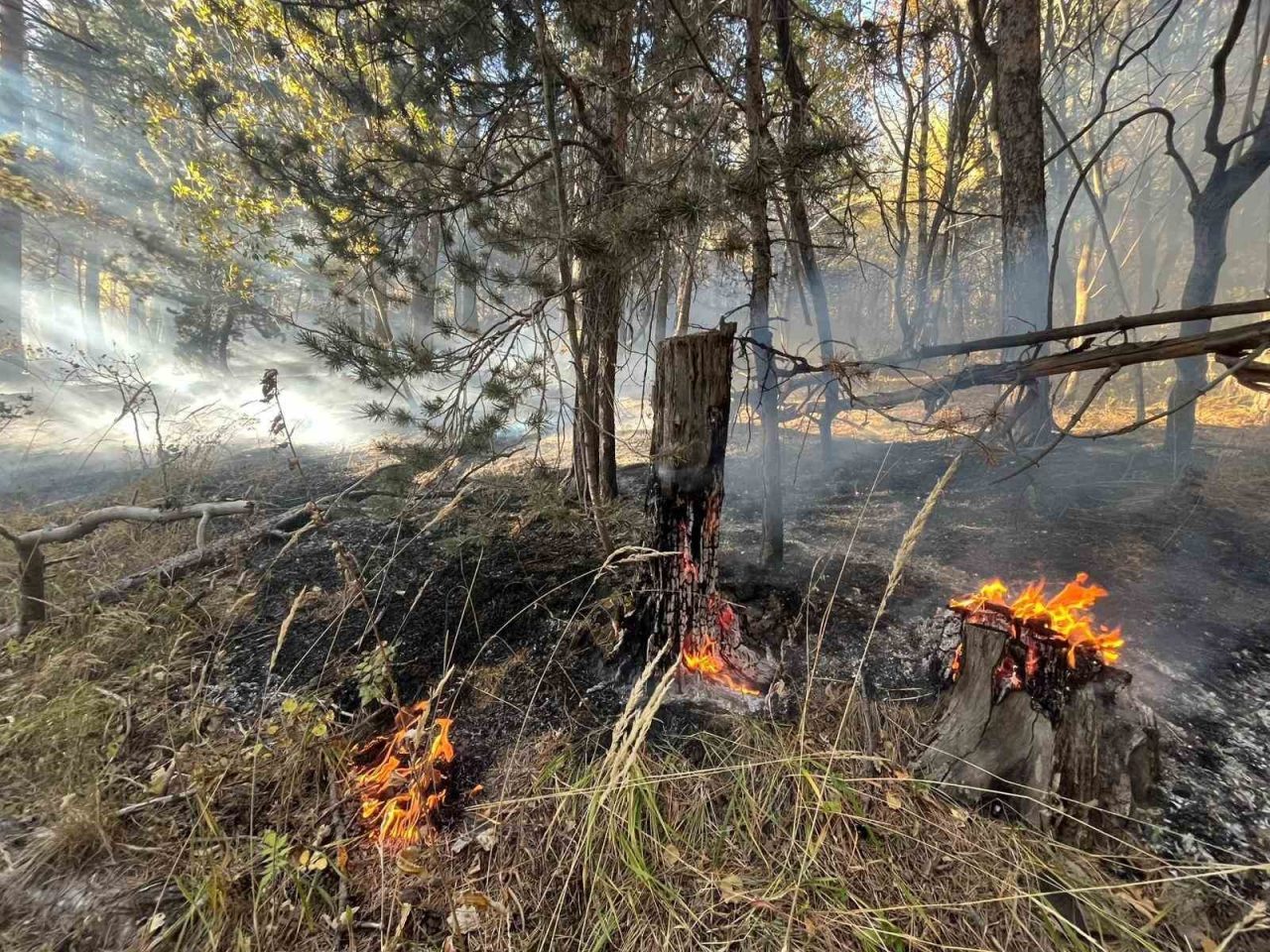 Kars’ın Sarıkamış ilçesinde ormanlık alanda çıkan anız yangınında yaklaşık 2