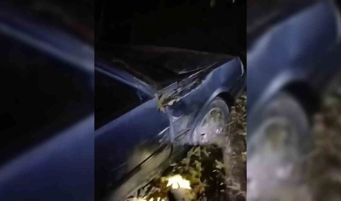 Sinop’ta otomobilin şarampole yuvarlandığı kazada 3 kişi yaralandı. Kaza, Ayancık