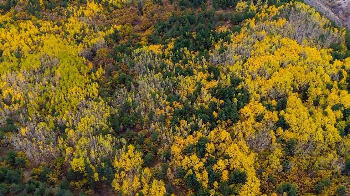Erzincan’da sonbahar mevsiminin bıraktığı renk cümbüşü havadan görüntülendi. Erzincan’da sonbahar