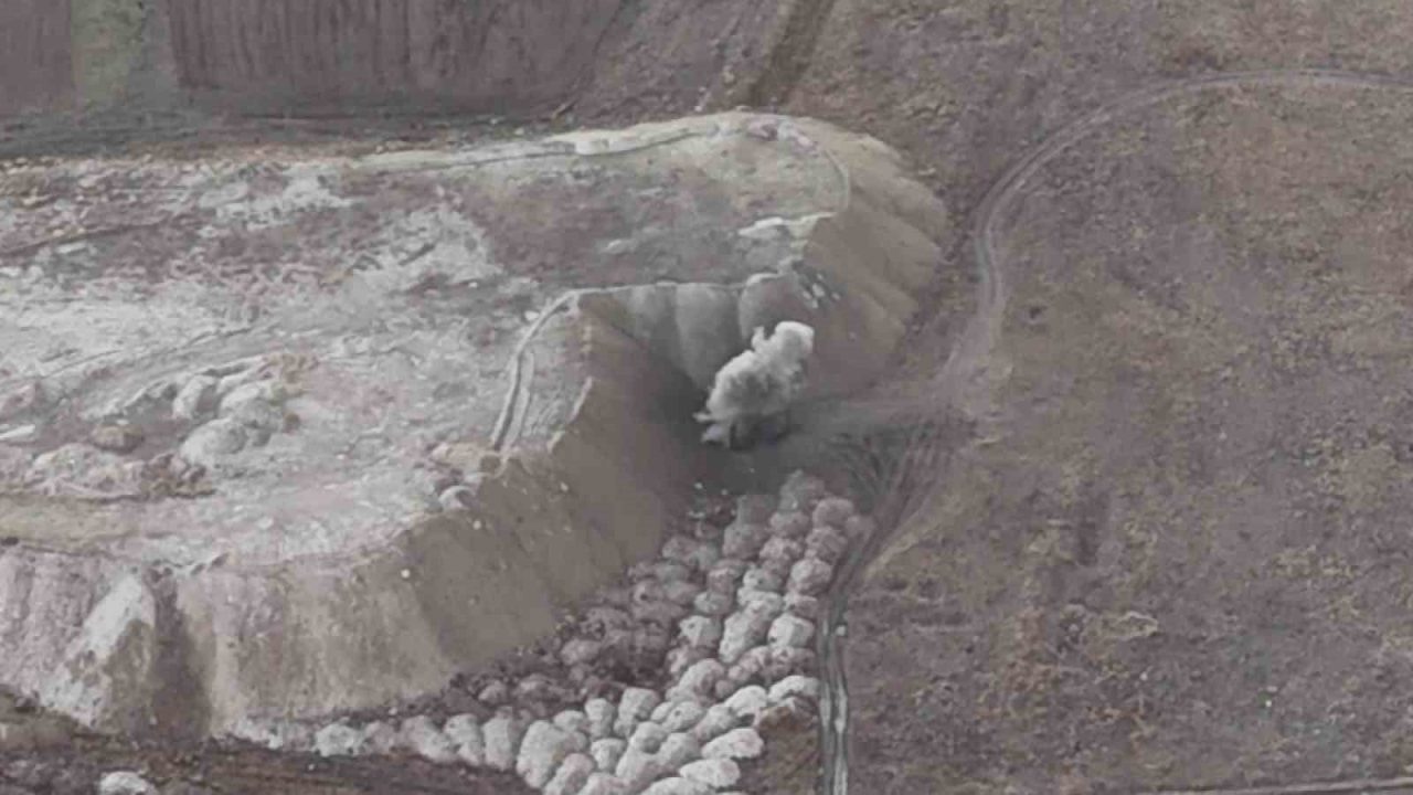 Erzurum Valisi Mustafa Çiftçi, Aziziye İlçesi’nde bulunan 2. OSB 3.