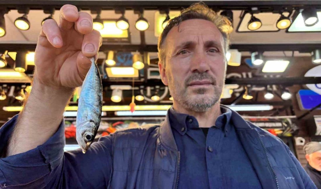 Trabzon’un Ortahisar ilçesinde balık satış yerlerinde yapılan denetimlerde “herhangi bir